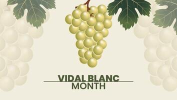 Crisp, Bright, and Bold, Its All About Vidal Blanc vector