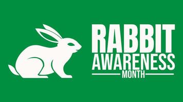 More Than Cute, Understanding Rabbit Needs vector