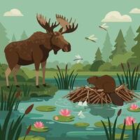 Moose and Beaver Illustration at Pond with Lily Pads and Dragonflies vector