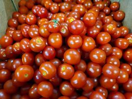 Smooth, beautiful little red cherry tomatoes are in a box on the store counter. photo