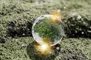 Tree inside transparent digital globe on moss background, symbol of nature protection, growth, and ecology photo