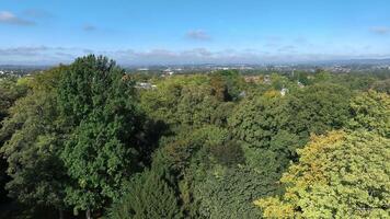 Drone view of lush green forest stretching to the horizon under blue sky, peaceful landscape with distant town video