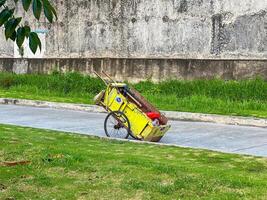un brillante amarillo carro es haciendo sus camino abajo un la carretera ese carreras paralelo a un lozano herboso zona lleno con vibrante verde plantas y flores foto