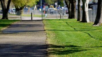 a path is lined with trees and grass, people and cars in background video