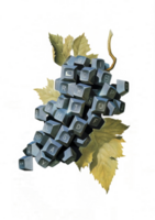 Keyboard Keys as Grapes with Leaves on Transparent Background png