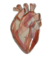 heart on paper unique drawing png