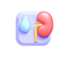 Kidney with water drop in rounded square 3D render icon. Nephrology health symbol, hydration reminder, or urinary care app UI. Isolated transparent graphic. png