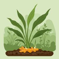 Illustrative Turmeric Growing in Soil with Green Leaves Backdrop vector