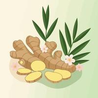 Fresh Ginger Root with Slices and Green Leaves Illustration vector