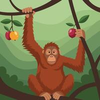 Orangutan Holding Apple While Hanging From Branch in Forest Illustration vector
