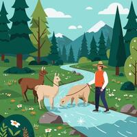 Walking Alpacas Through River in Forest with Mountain Background vector