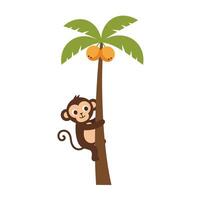 Monkey Climbing a Palm Tree with Coconuts Cartoon Illustration vector
