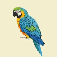 Standing Parrot Illustration with Colorful Feathers and Detailed Design vector