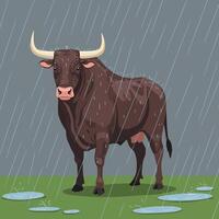 Bull Standing in Rain with Puddles on Green Grass Field vector