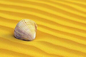 Seashell on Golden Sand Dune Under Warm Sunlight photo