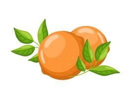 Flat illustration of two whole fresh oranges with green leaves, isolated on a white background. Simple and bright fruit design. vector