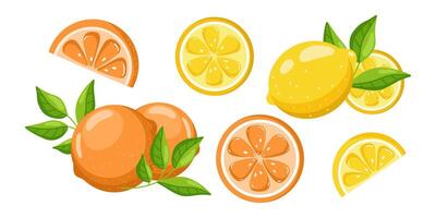 Flat cartoon style illustration of whole, halved, and sliced oranges and lemons, isolated on a white background. Bright citrus fruits in a playful design. vector