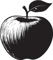 Black and white illustration of an apple vector