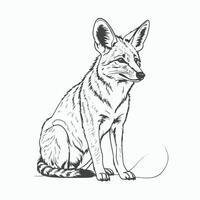 A black and white drawing of a fox sitting vector