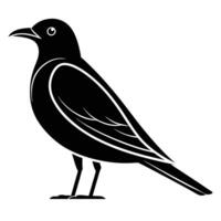 Black and white silhouette of a bird vector