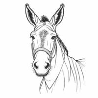 A donkey is drawn in black and white on a white background vector