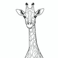 A giraffe is shown in a line drawing vector