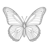 A butterfly coloring page with a black and white image vector