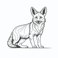 A drawing of a fox standing on its hind legs vector