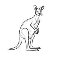 A black and white drawing of a kangaroo vector
