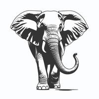 An elephant is shown in black and white vector