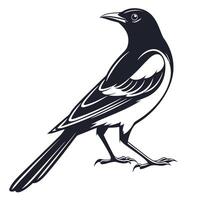 A black and white bird on a white background vector