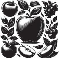 Black and white illustration of an apple, grapes, and other fruit vector