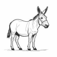 A donkey is standing in a line drawing vector