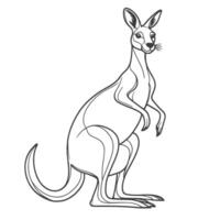 A drawing of a kangaroo standing on its hind legs vector