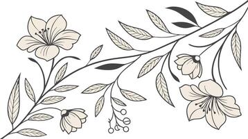 Elegant Floral Design Featuring Delicate Flowers and Leaves in a Linear Arrangement vector