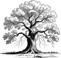 tree silhouette art premium quality vector
