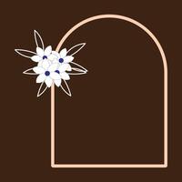a flower in a frame on a brown background vector