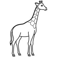 Simple Line Drawing of a Giraffe Standing vector