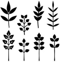 Collection of Eight Simple Black Plant Silhouettes vector