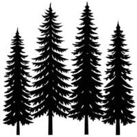 Silhouette of Four Evergreen Trees on White Background vector