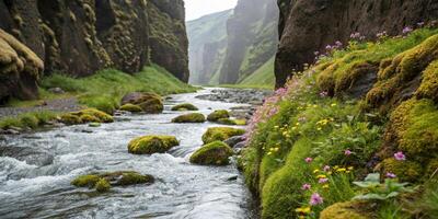 serene view of clear stream flowing through lush green valley, surrounded by moss covered rocks and vibrant wildflowers. tranquil atmosphere invites relaxation and reflection photo