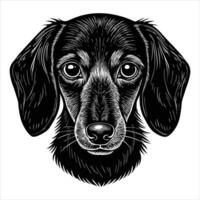 hyper realistic dachshund face vector