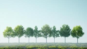 A row of lush green trees stands tall against a clear sky, symbolizing the importance of reforestation and environmental preservation in promoting biodiversity and nurturing ecosystems. photo