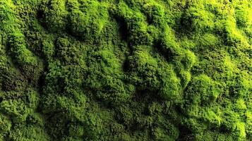 Green moss texture creates a vibrant and eco-friendly backdrop, ideal for mockups or designs needing nature-inspired elements and ample empty space. photo