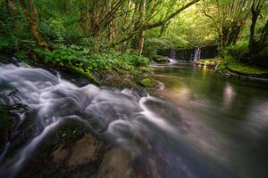 A small stream flows into a wide pool under a dam photo