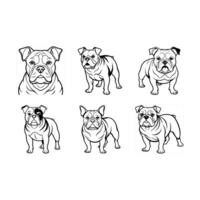 Bulldog Illustration Cute, Strong, and Stylized Dog Design for Print and Web vector
