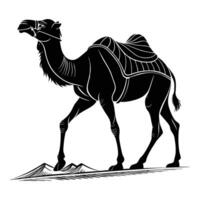 A camel is standing on the ground in a black and white drawing vector
