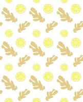 Seamless pattern of hand drawn doodle sketch ginger and lemon isolated on background vector