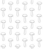 Mushroom hand drawn pattern vector