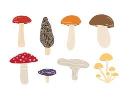 Set bundle of hand drawn doodle sketch mushroom isolated on white background vector